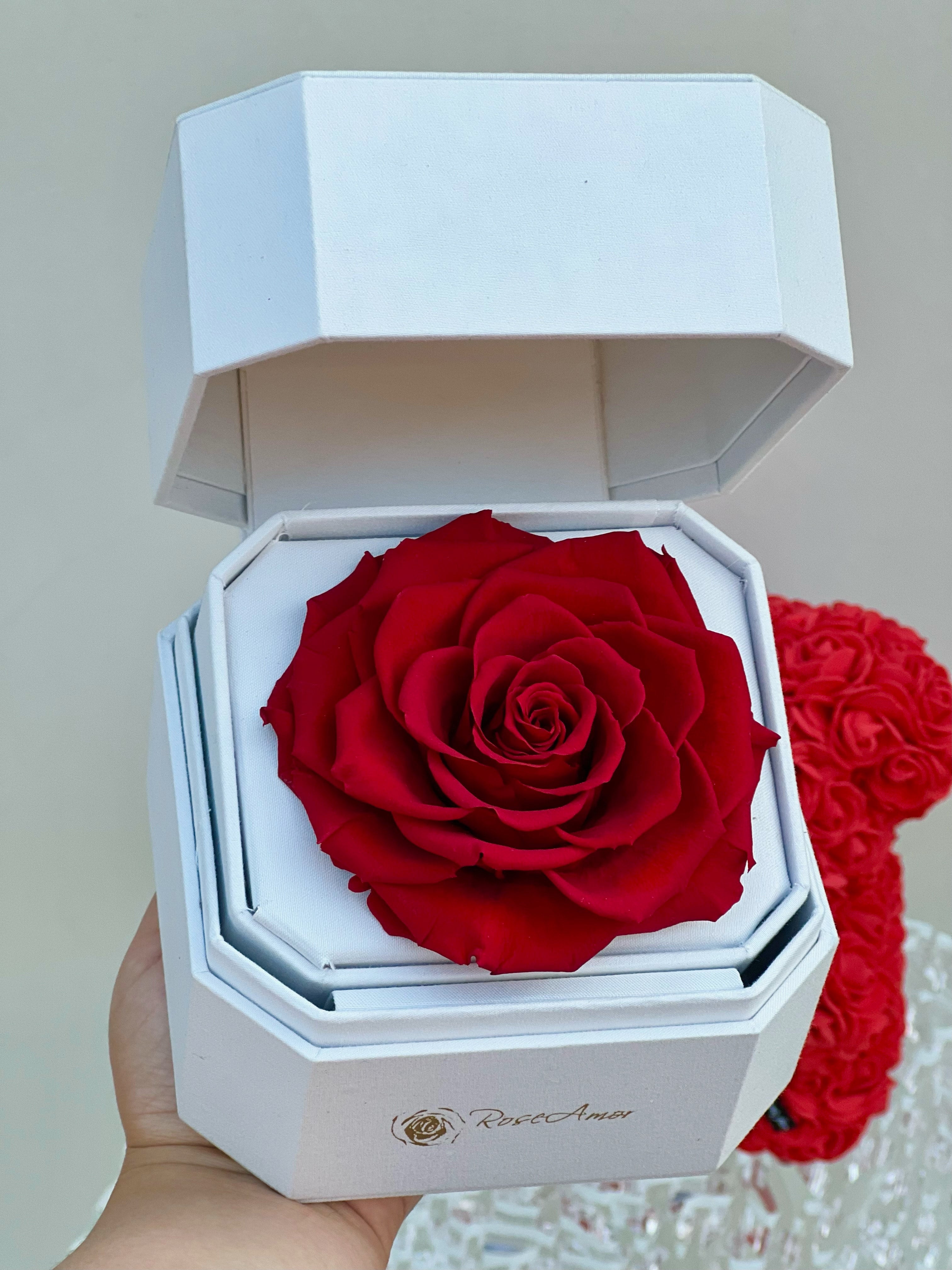 Forever Rose | Long-Lasting Preserved Roses | Real Roses that Last Forever